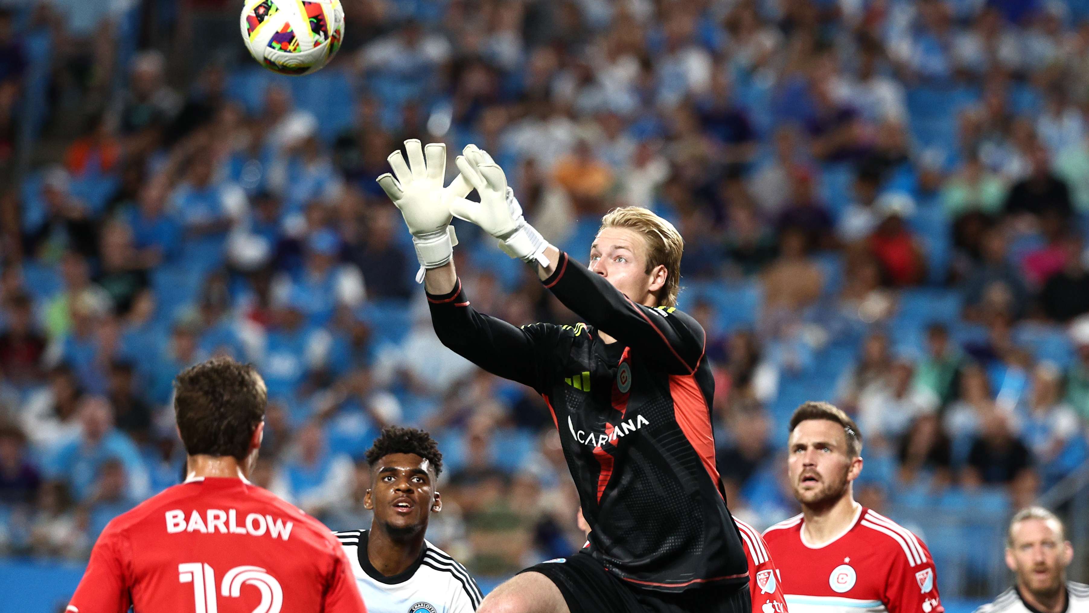 士進行合同 士進行合同