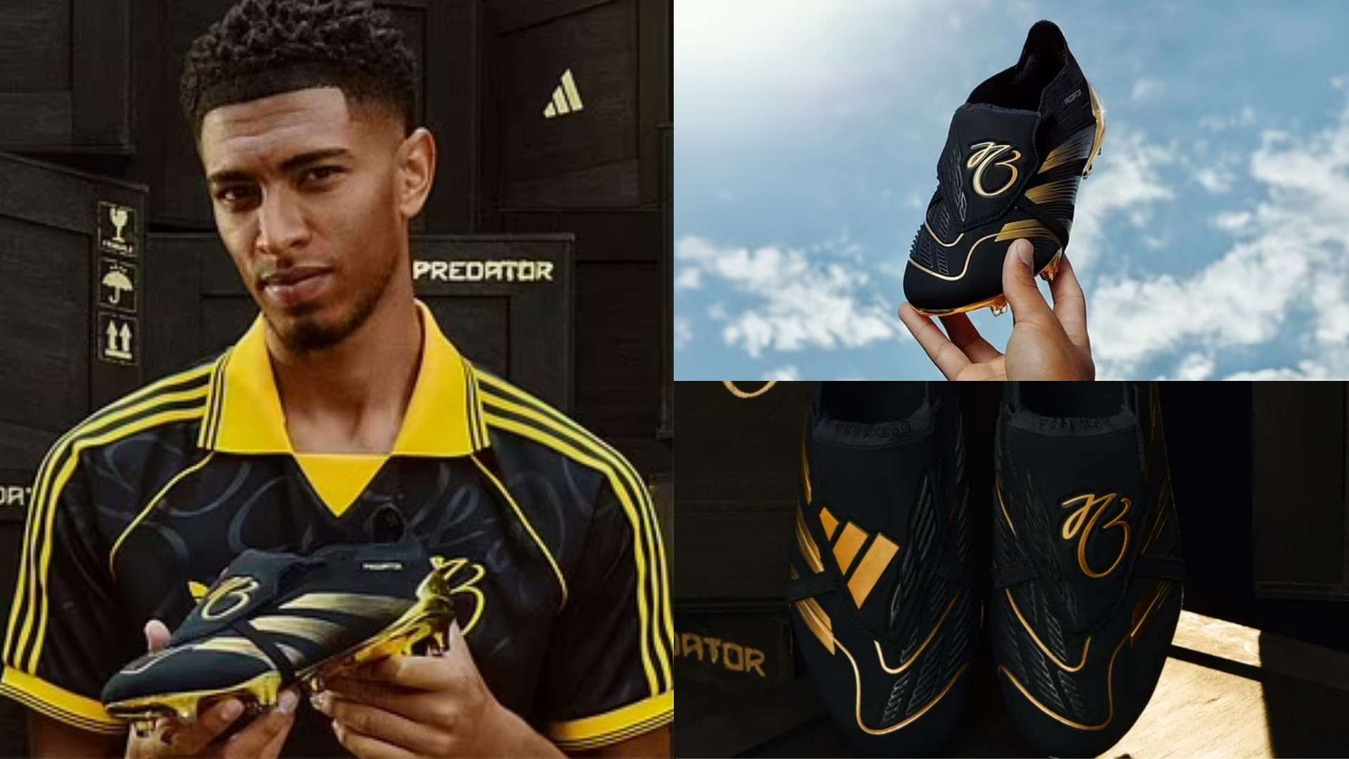 动的发展 动的发展